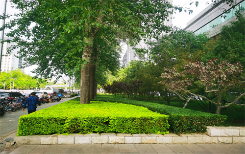 寰太大厦周边环境 